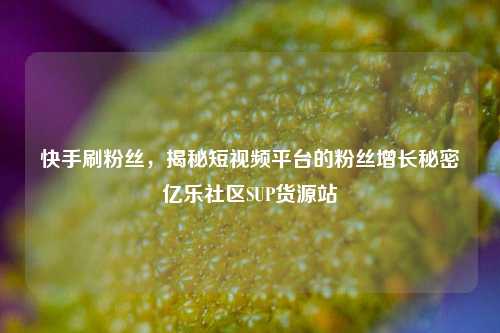 快手刷粉丝，揭秘短视频平台的粉丝增长秘密亿乐社区SUP货源站  第1张
