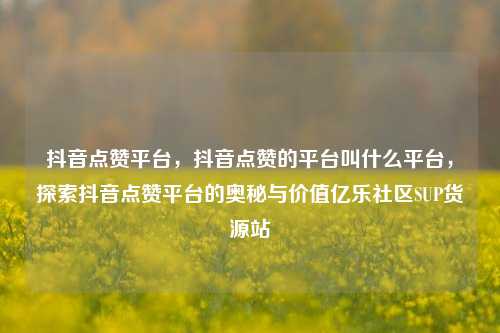 抖音点赞平台	，抖音点赞的平台叫什么平台，探索抖音点赞平台的奥秘与价值亿乐社区SUP货源站  第1张