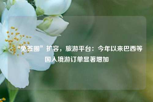 “免签圈”扩容，旅游平台：今年以来巴西等国入境游订单显著增加  第1张