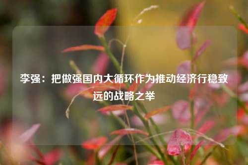 李强：把做强国内大循环作为推动经济行稳致远的战略之举  第1张