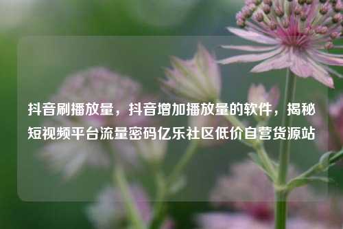 抖音刷播放量	，抖音增加播放量的软件，揭秘短视频平台流量密码亿乐社区低价自营货源站  第1张