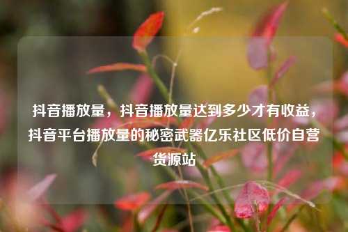 抖音播放量，抖音播放量达到多少才有收益，抖音平台播放量的秘密武器亿乐社区低价自营货源站  第1张