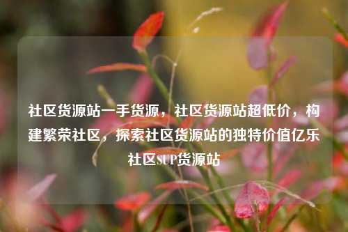 社区货源站一手货源，社区货源站超低价，构建繁荣社区	，探索社区货源站的独特价值亿乐社区SUP货源站  第1张