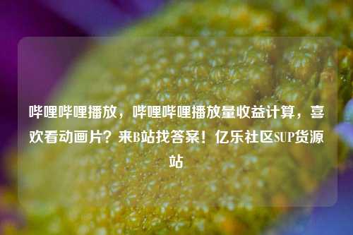 哔哩哔哩播放，哔哩哔哩播放量收益计算，喜欢看动画片？来B站找答案！亿乐社区SUP货源站  第1张
