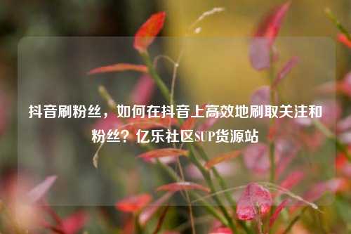 抖音刷粉丝	，如何在抖音上高效地刷取关注和粉丝？亿乐社区SUP货源站  第1张