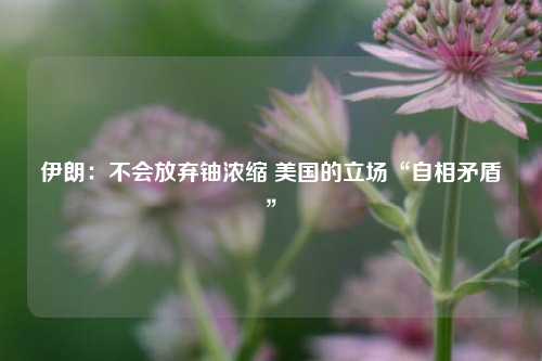 伊朗：不会放弃铀浓缩 美国的立场“自相矛盾	”  第1张
