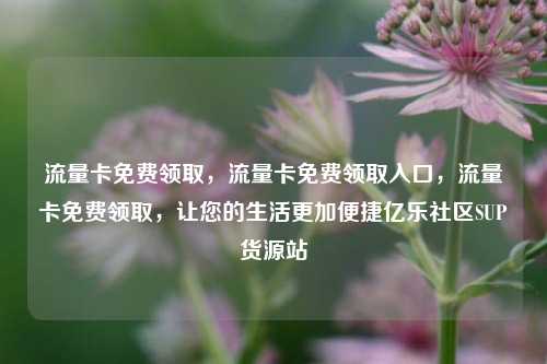 流量卡免费领取	，流量卡免费领取入口，流量卡免费领取，让您的生活更加便捷亿乐社区SUP货源站  第1张