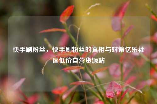快手刷粉丝，快手刷粉丝的真相与对策亿乐社区低价自营货源站  第1张