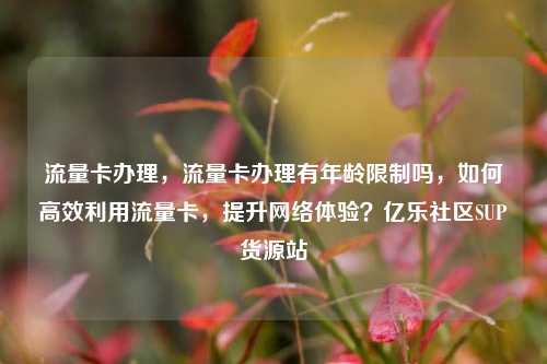 流量卡办理，流量卡办理有年龄限制吗，如何高效利用流量卡，提升网络体验？亿乐社区SUP货源站  第1张