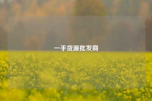 一手货源批发商  第1张