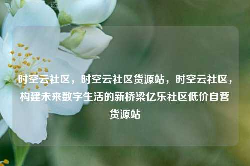 时空云社区，时空云社区货源站，时空云社区	，构建未来数字生活的新桥梁亿乐社区低价自营货源站  第1张