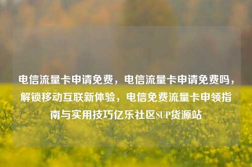 电信流量卡申请免费，电信流量卡申请免费吗	，解锁移动互联新体验，电信免费流量卡申领指南与实用技巧亿乐社区SUP货源站  第1张